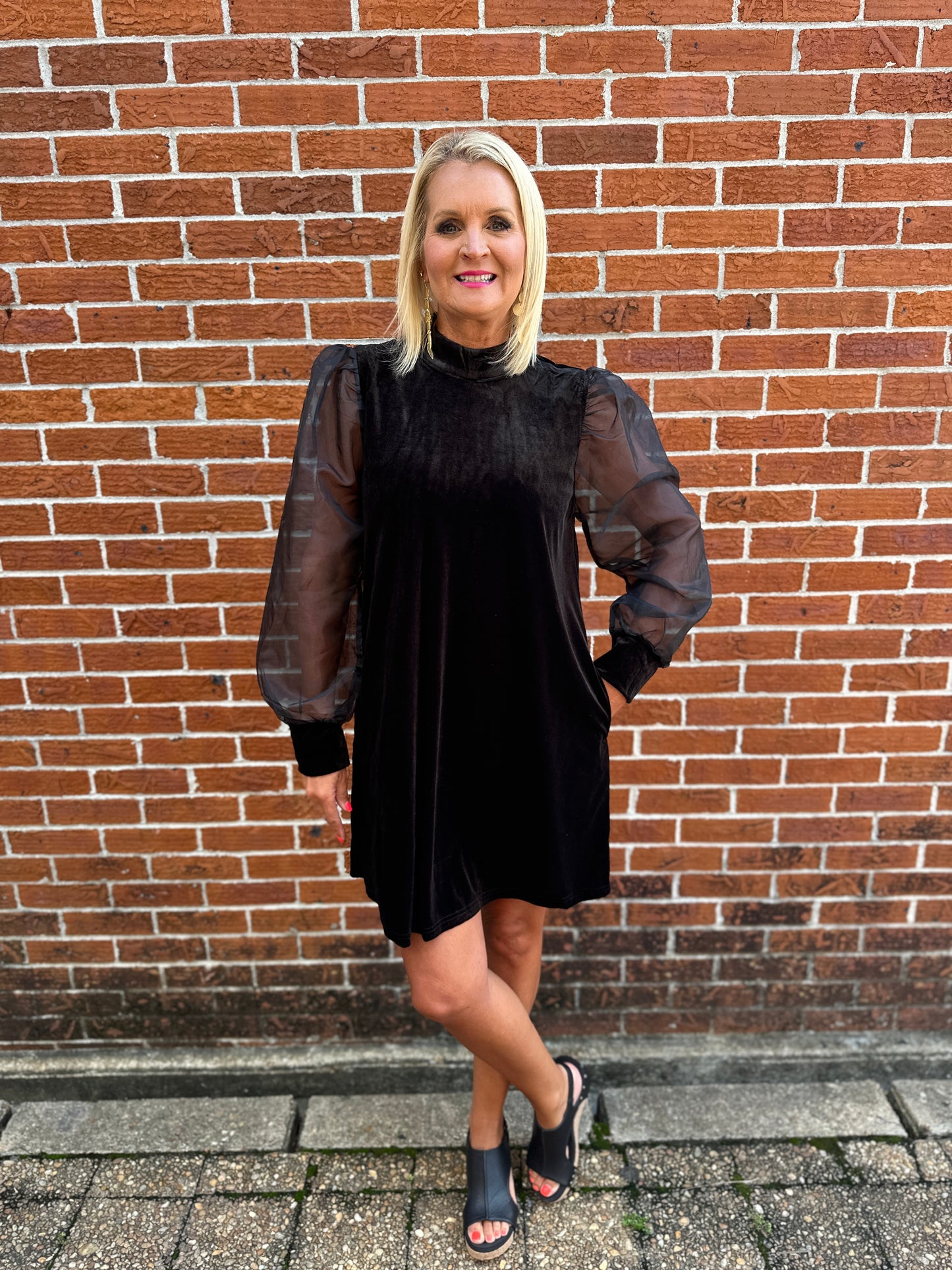 BLACK VELVET SHEER SLEEVE DRESS