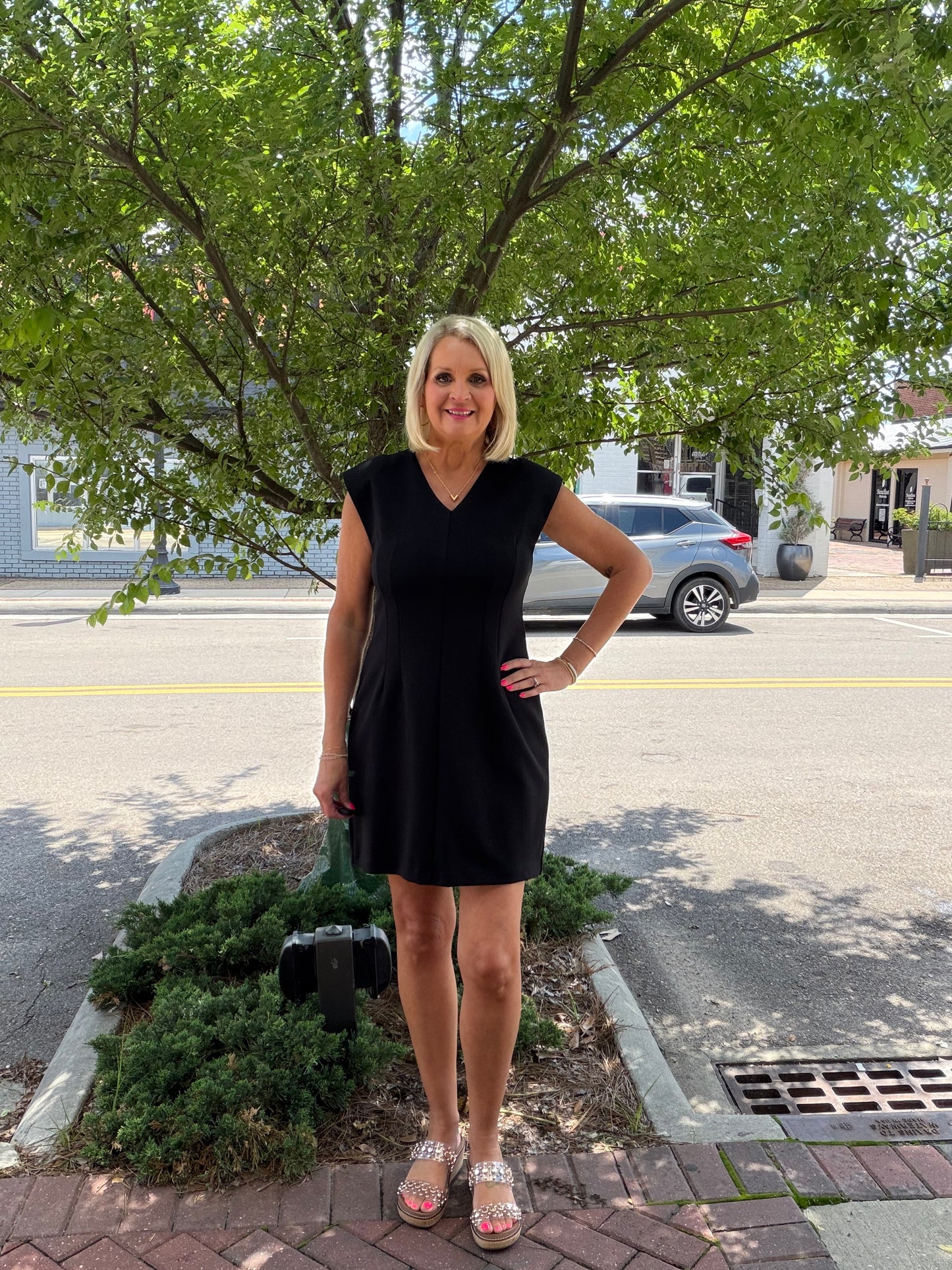 BLACK Stretch Knit Tailored V-neck Dress