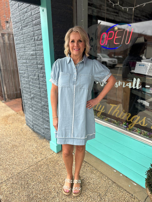 Lt. Denim Stripe Polo Dress