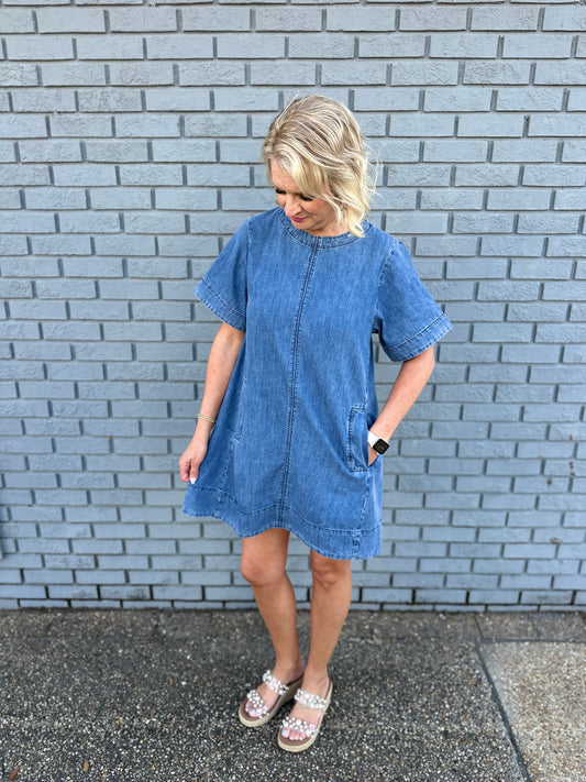 DENIM DR W/BACK PLEAT