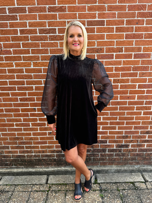 BLACK VELVET SHEER SLEEVE DRESS