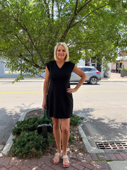 BLACK Stretch Knit Tailored V-neck Dress