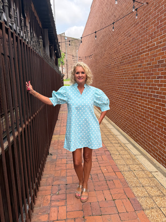 Ruffle V-neck Puff Sleeve Mini Dress