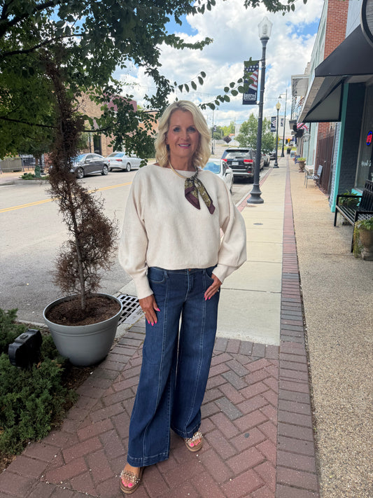 Boat Neck Balloon Sleeve Sweater