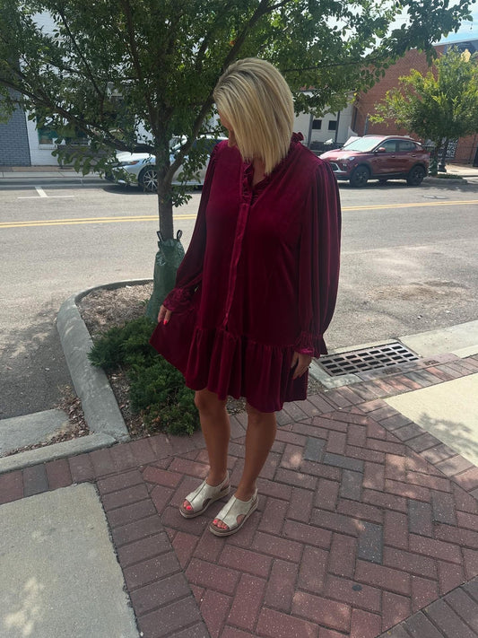 Velvet Ruffle Trim Mini Dress