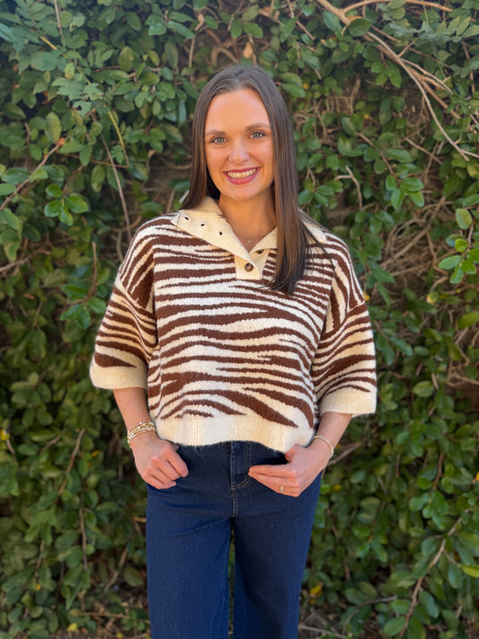 ECRU BROWN ABSTRACT ANIMAL SWEATER